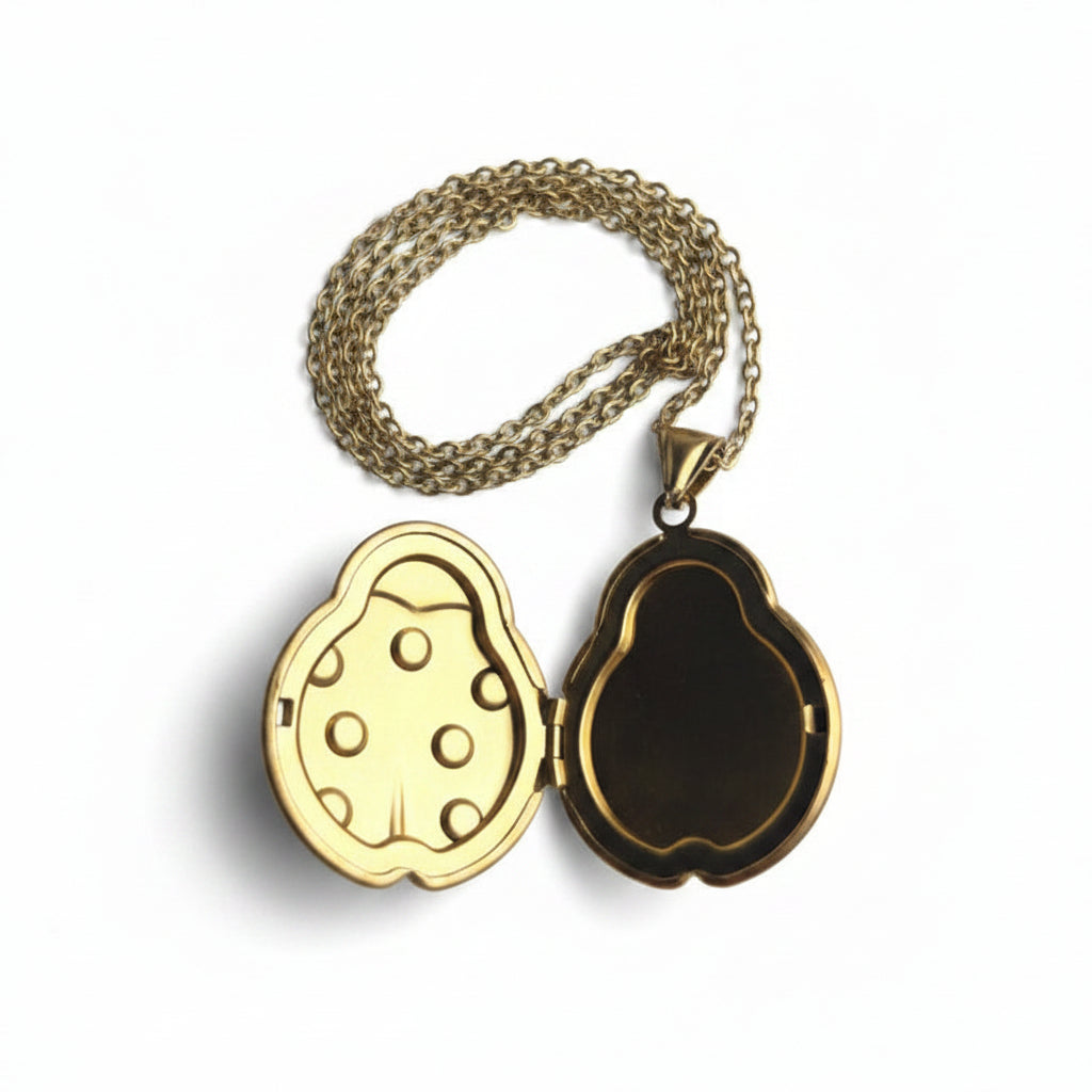 Ketting memory locket liefheerstbeestje