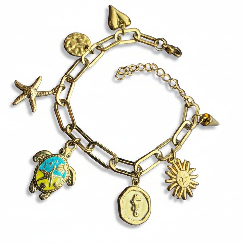 Bedelarmband roestvrijstaal