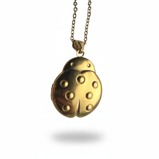 Ketting memory locket liefheerstbeestje