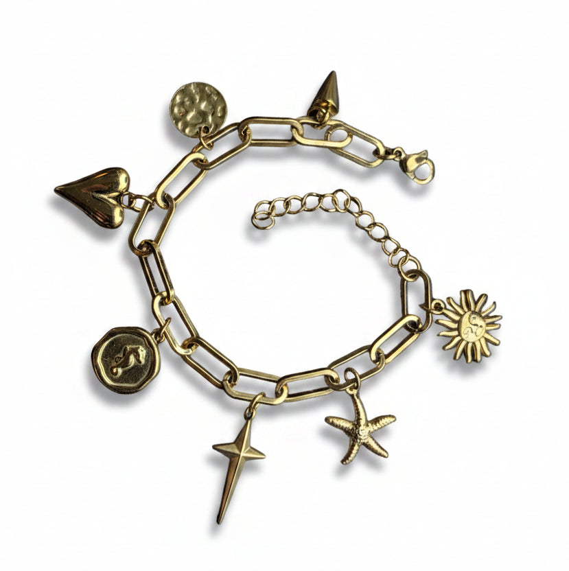 Bedelarmband roestvrijstaal