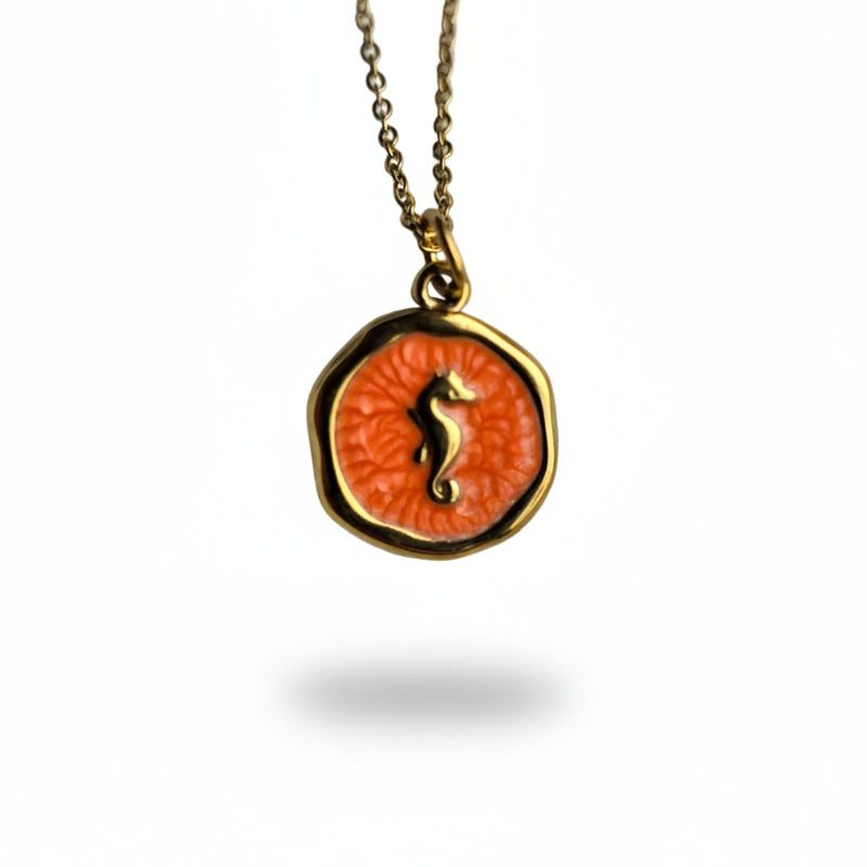 Ketting ' Seahorse ' - Div kleuren.