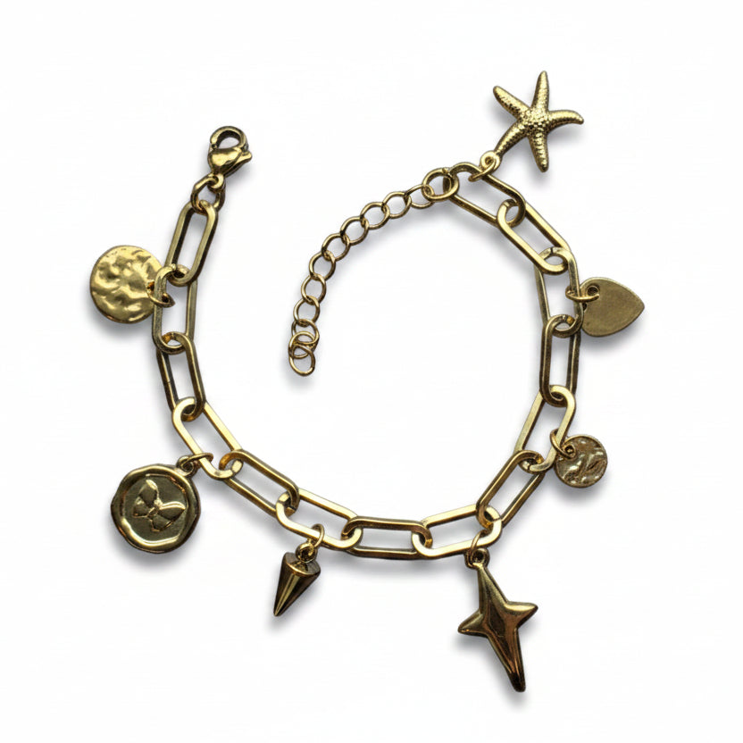 Bedelarmband roestvrijstaal