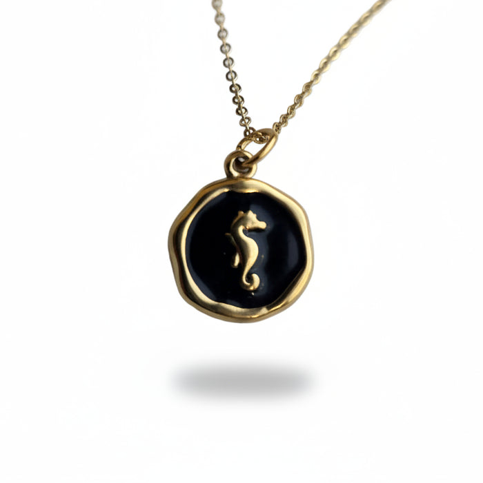 Ketting ' Seahorse ' - Div kleuren.