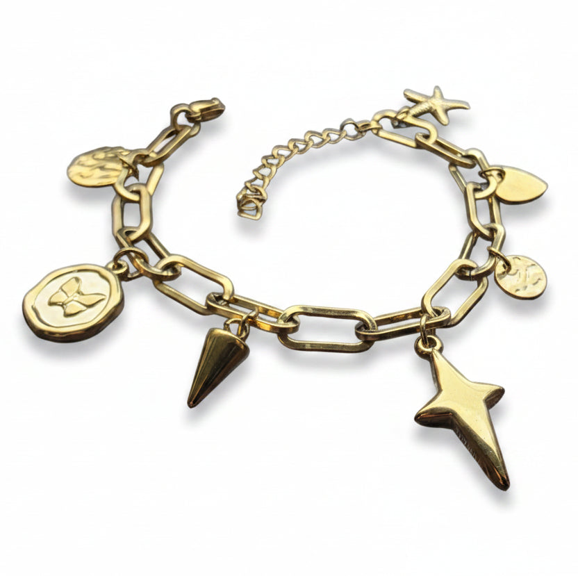 Bedelarmband roestvrijstaal