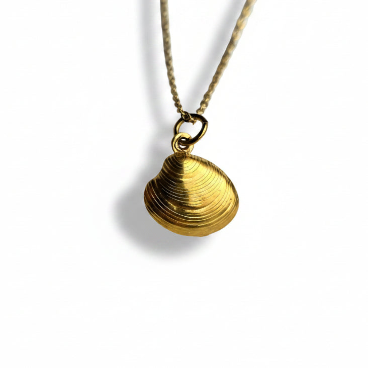 Ketting 'kleine schelp'