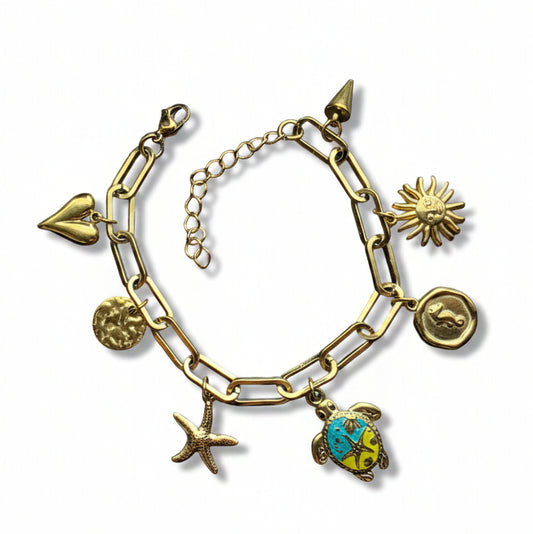 Bedelarmband roestvrijstaal