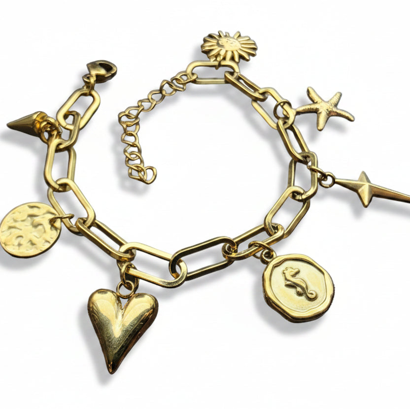 Bedelarmband roestvrijstaal